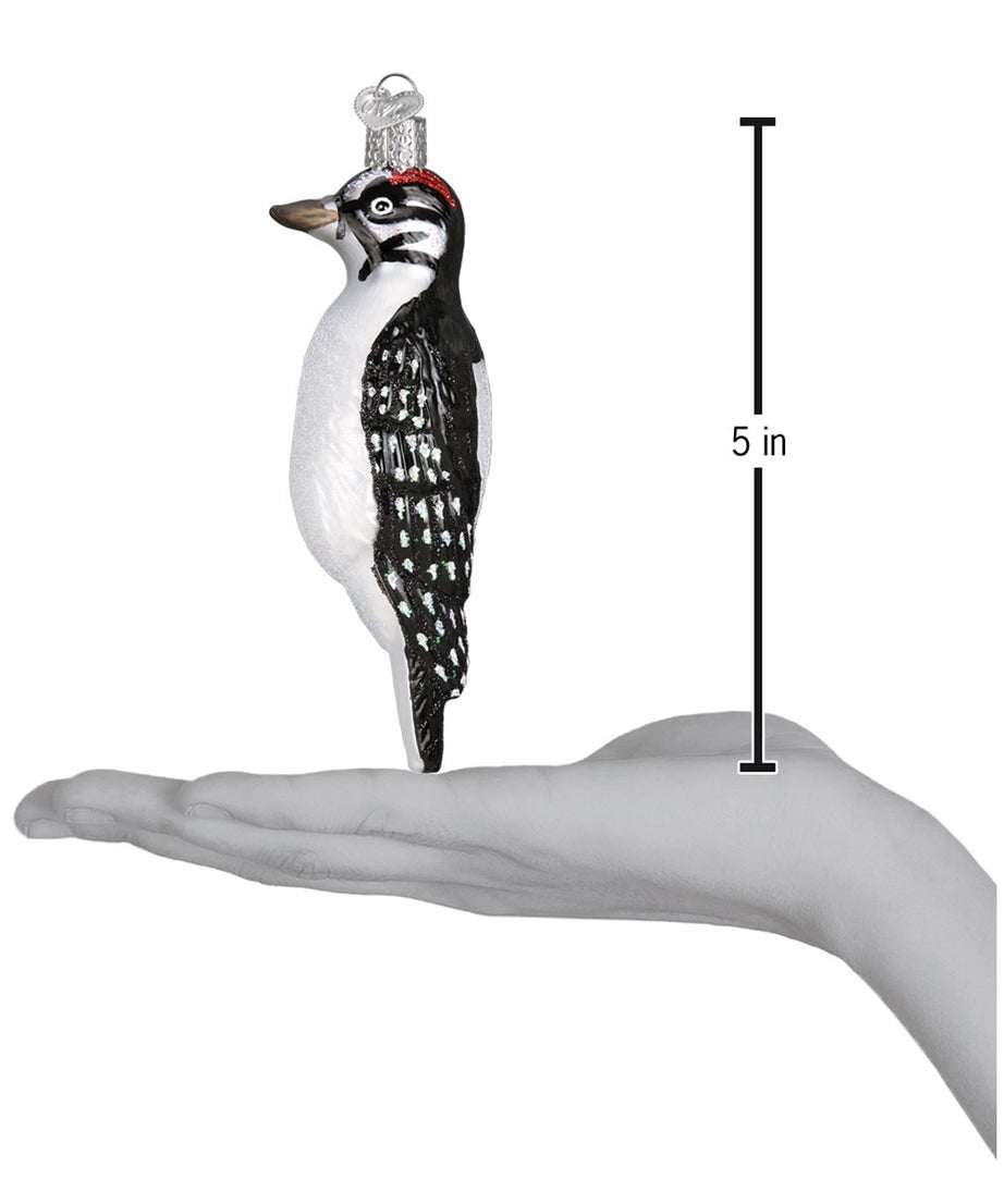 Hanging Hairy Woodpecker