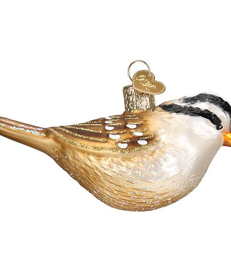 White Crowned Sparrow