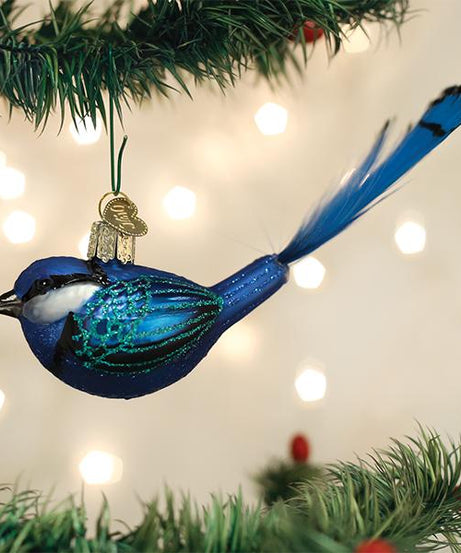 Hanging Fairy Wren