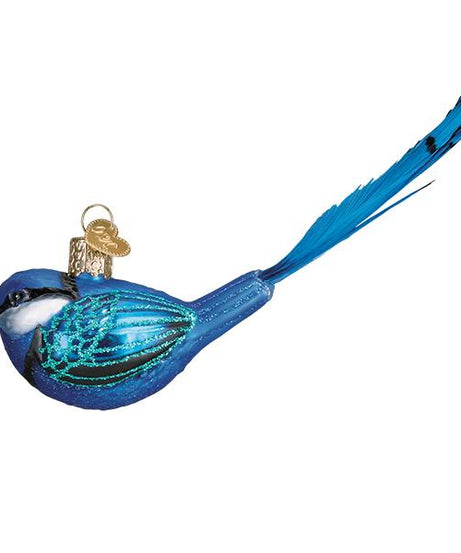 Hanging Fairy Wren