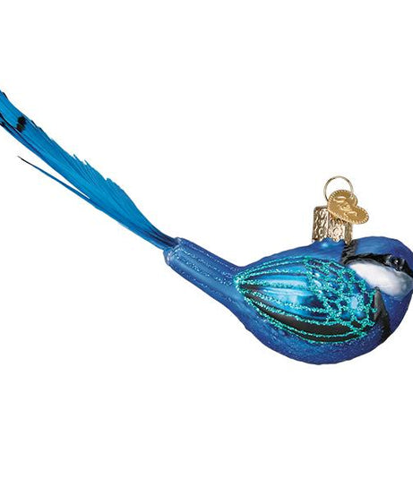 Hanging Fairy Wren