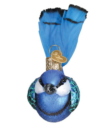Hanging Fairy Wren