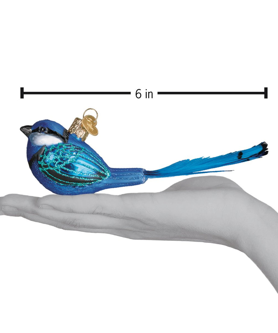Hanging Fairy Wren