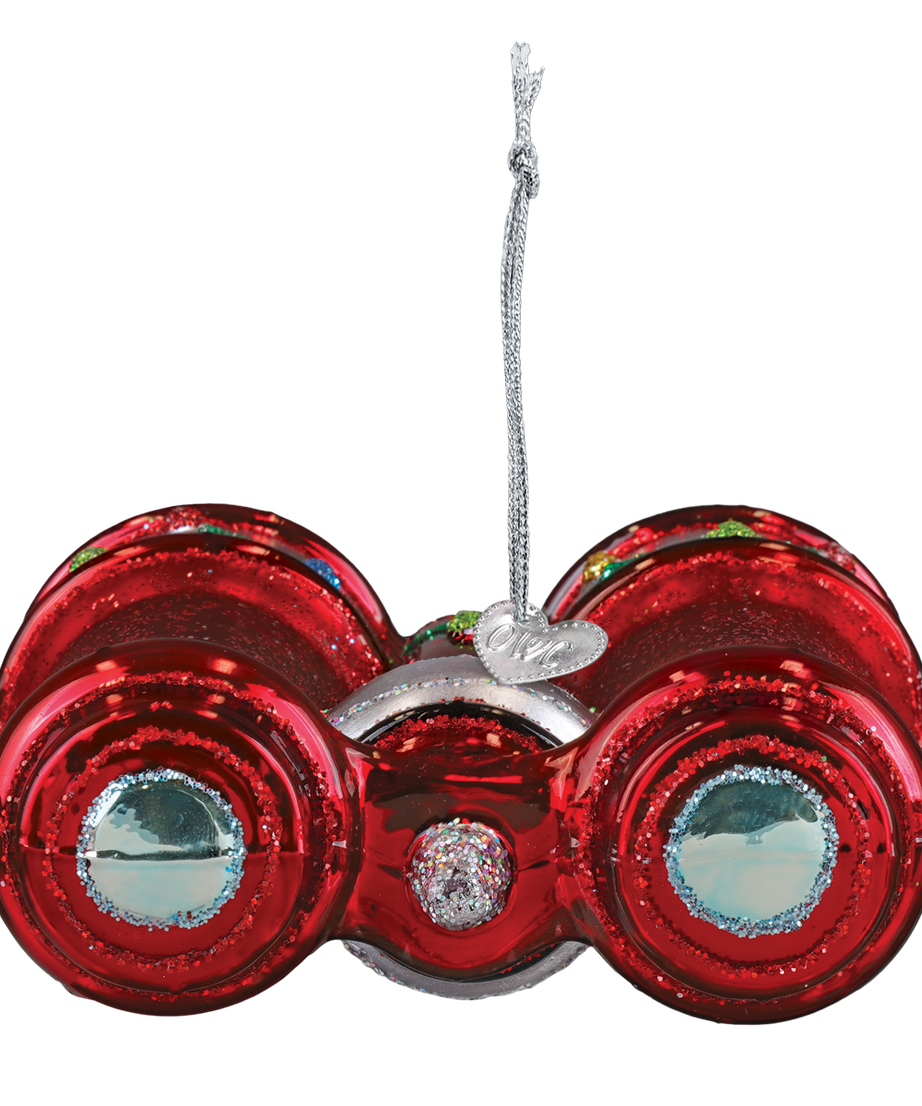 Bird Binoculars Ornament