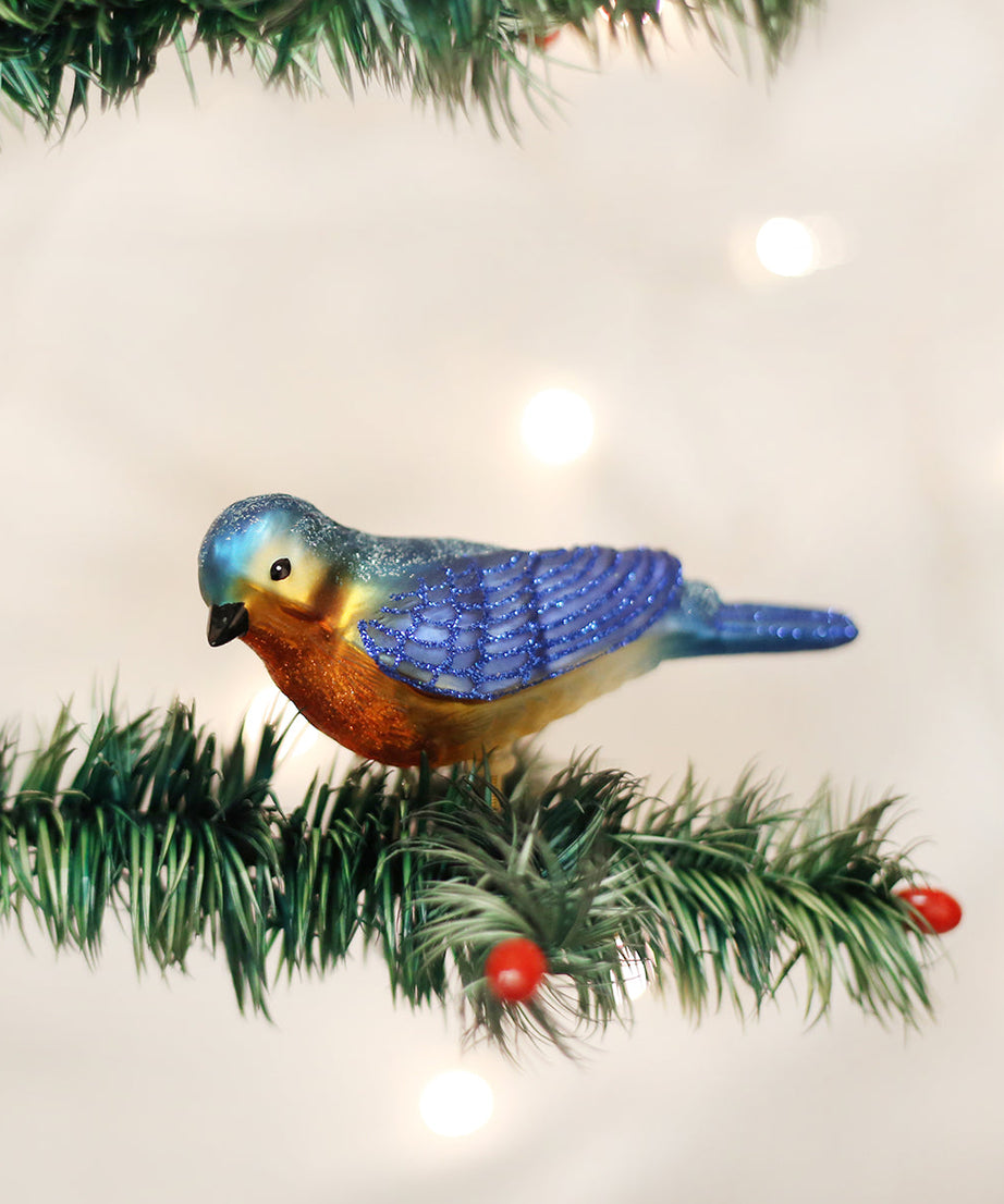 Clip-On Western Bluebird
