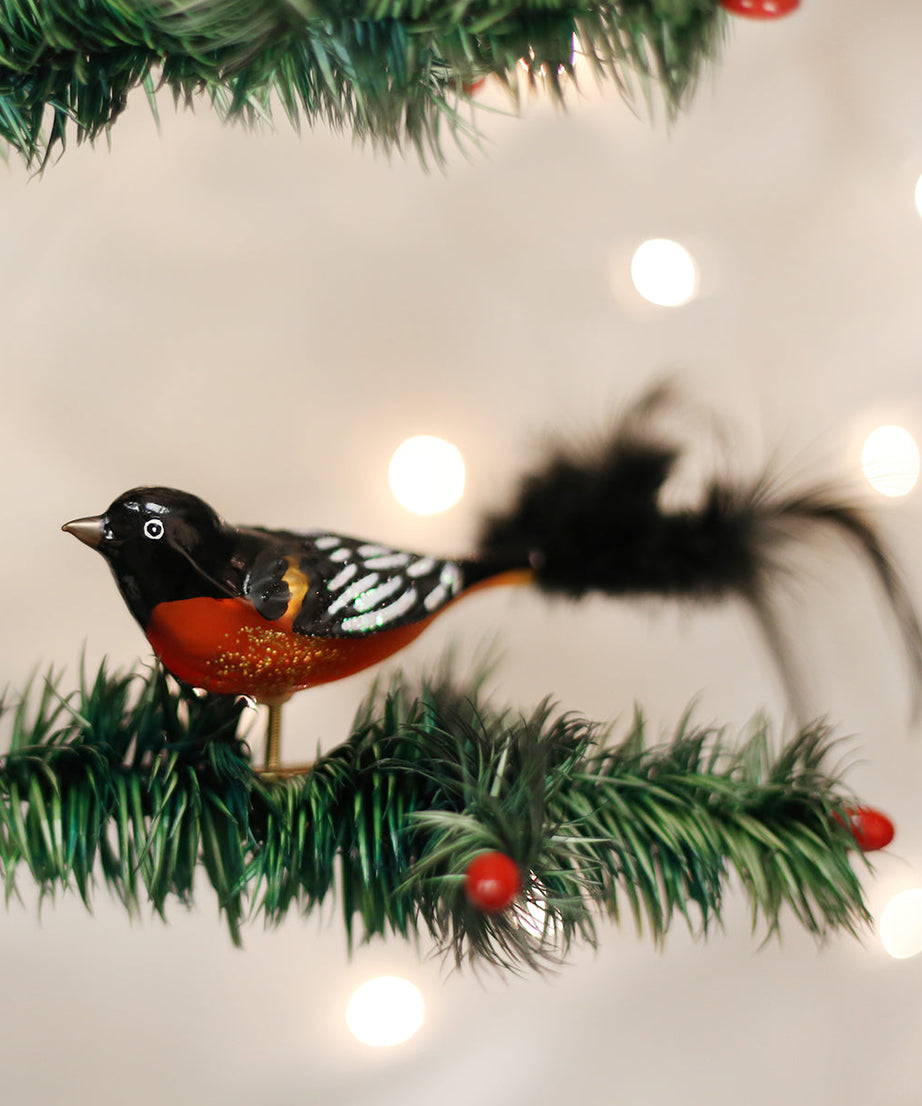 Baltimore Oriole Ornament