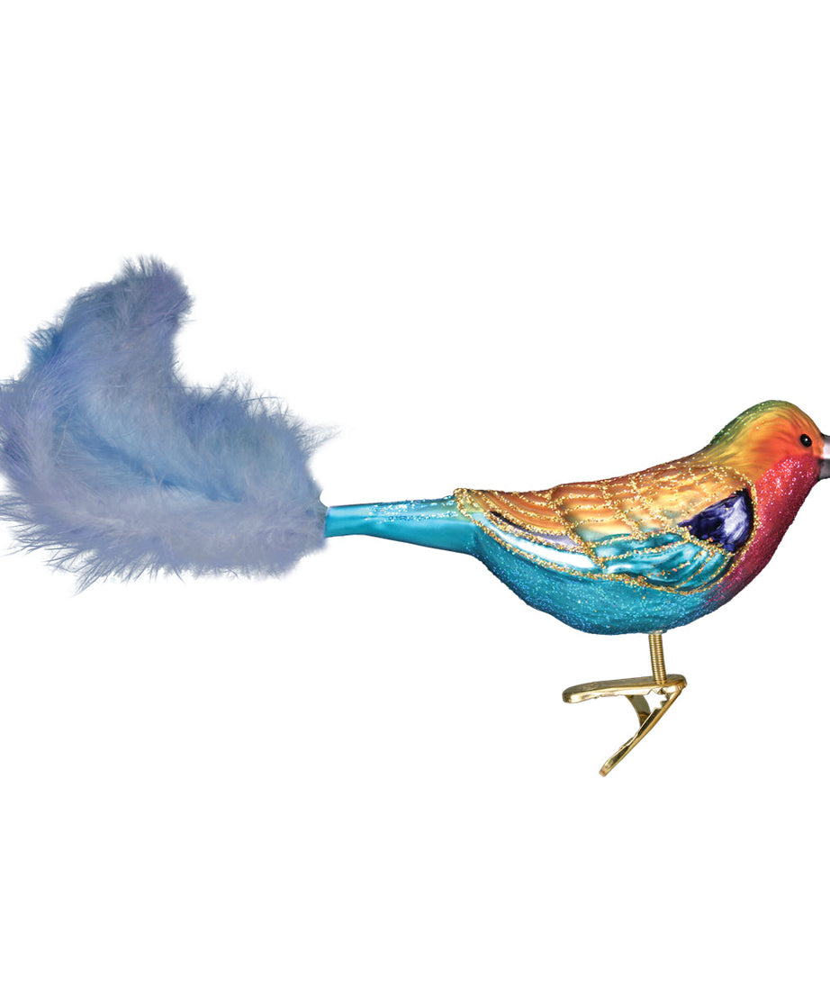 Lilac-breasted Roller