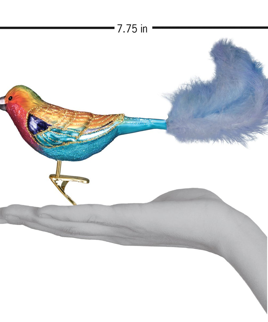 Lilac-breasted Roller