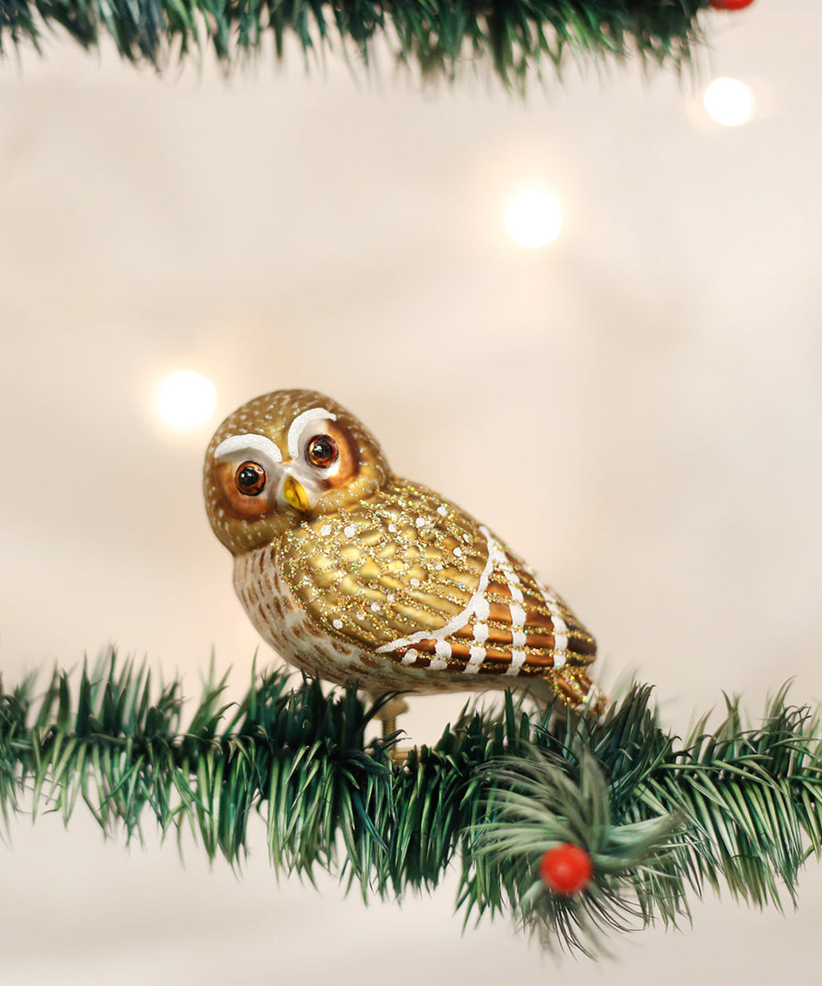 Pygmy Owl Ornament