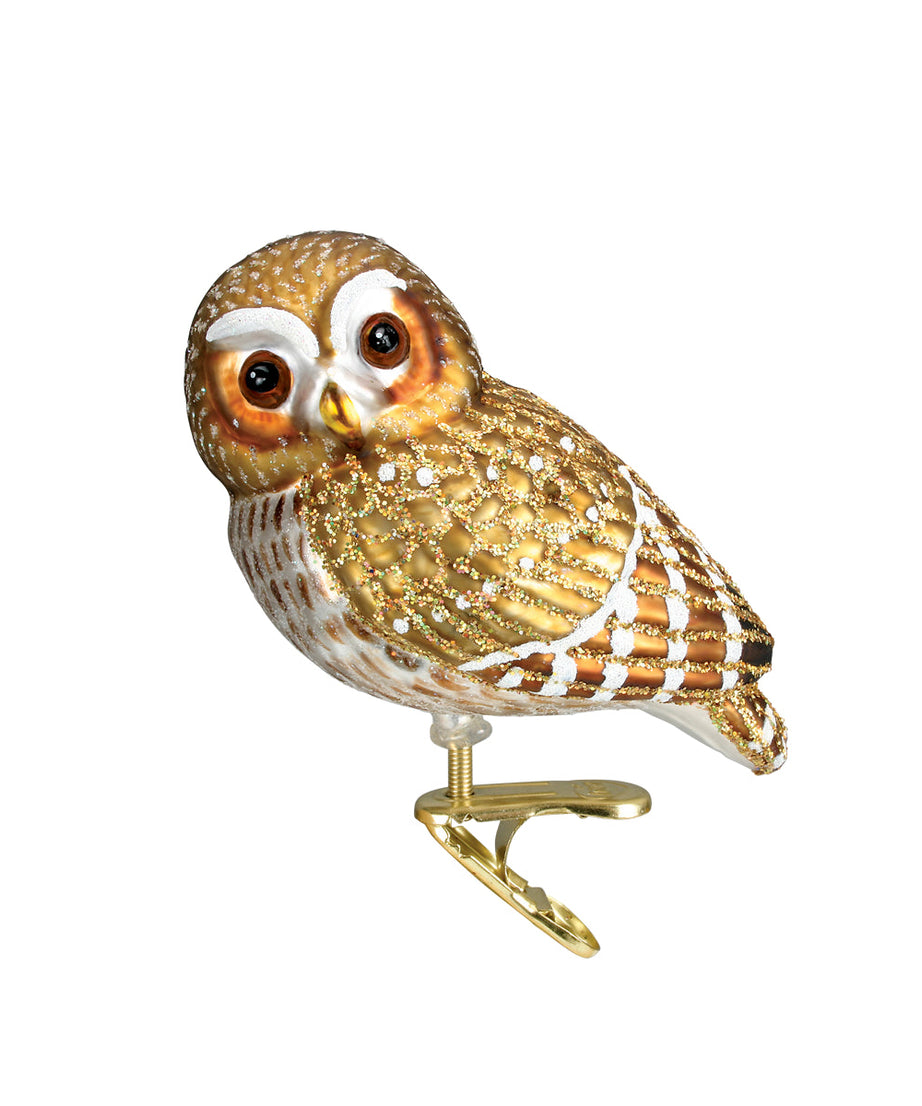 Pygmy Owl Ornament