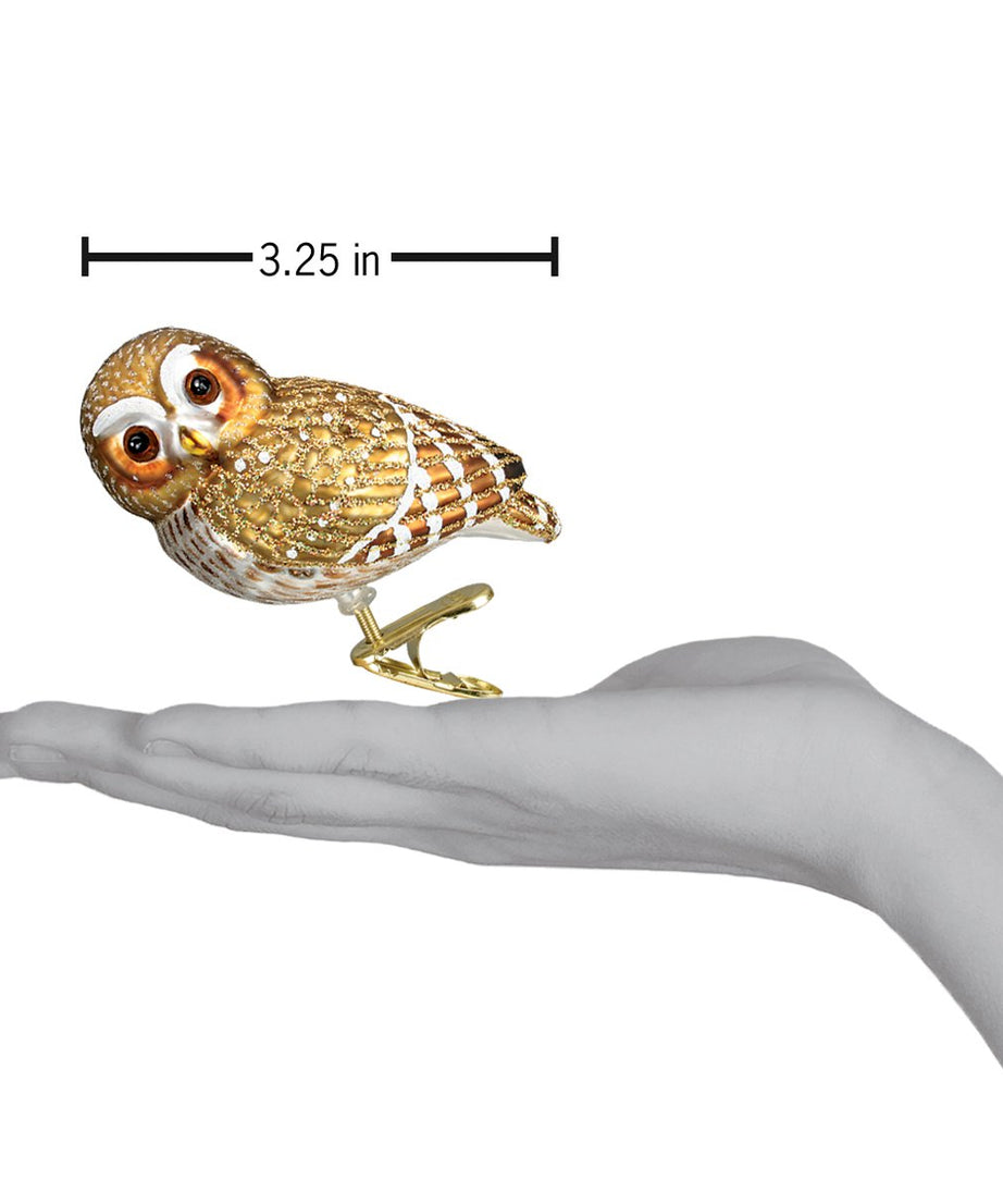 Pygmy Owl Ornament