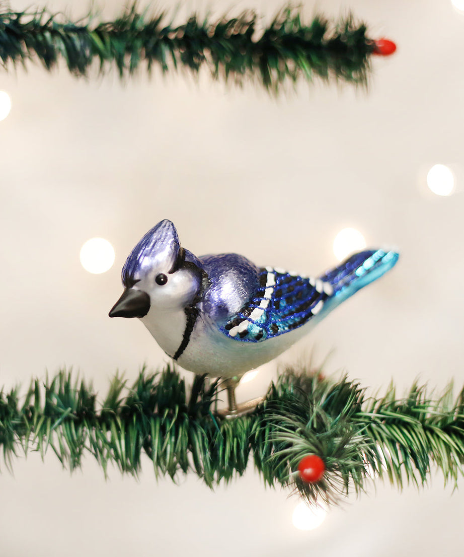 Bright Blue Jay Ornament