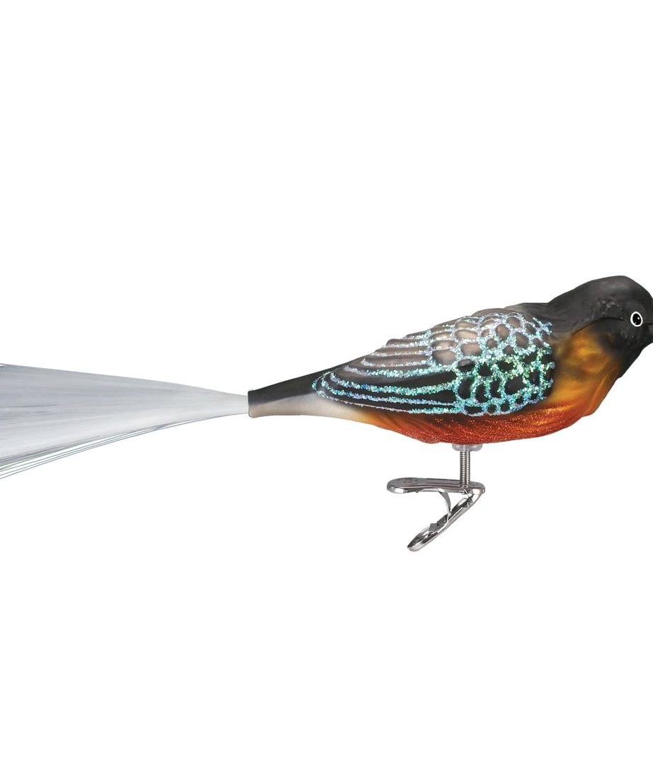 Robin Ornament