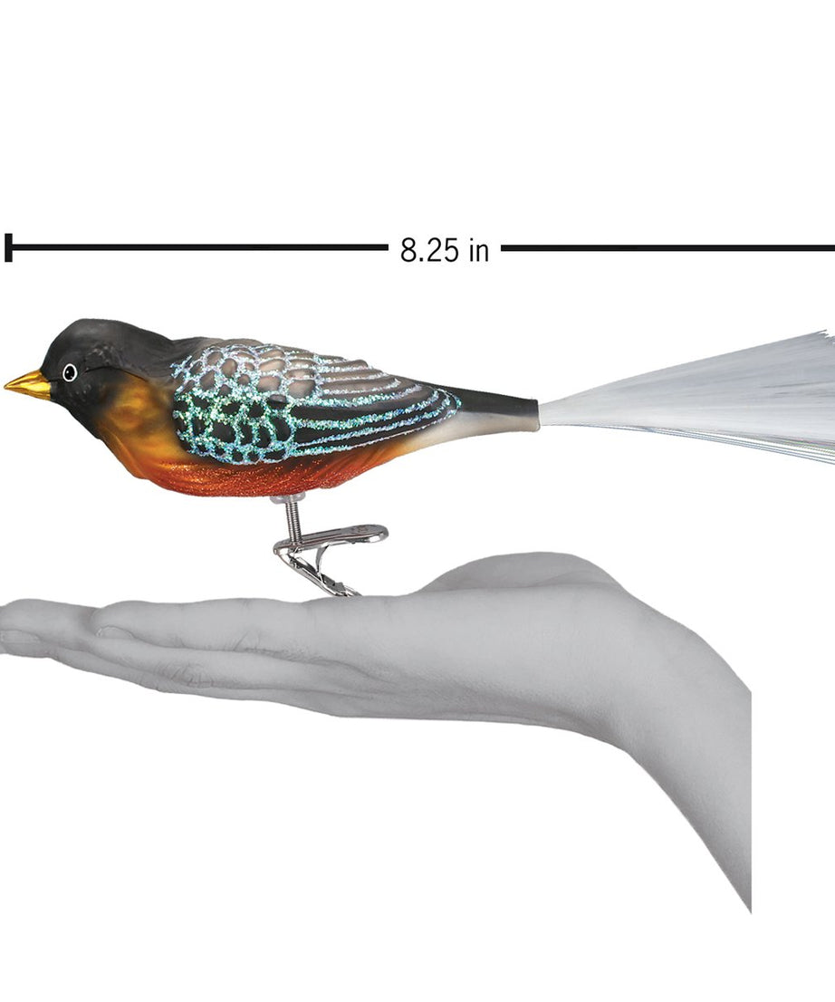 Robin Ornament