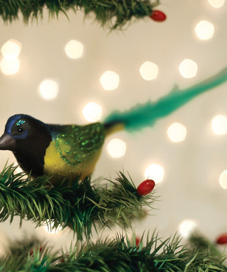 Green Jay Ornament