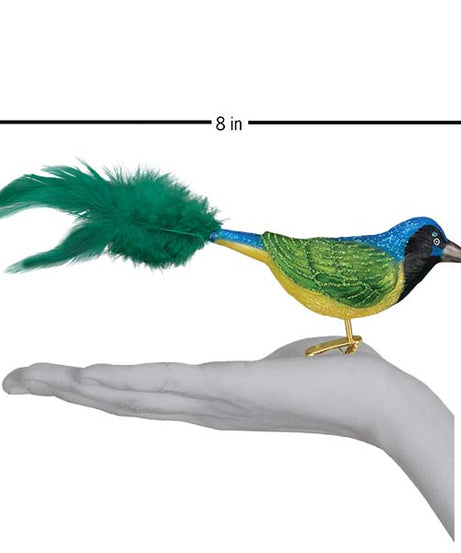 Green Jay Ornament