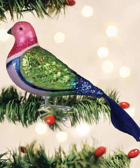 Pink Fruit Dove Ornament