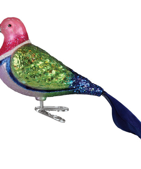 Pink Fruit Dove Ornament
