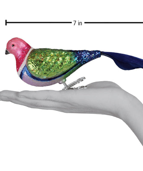 Pink Fruit Dove Ornament