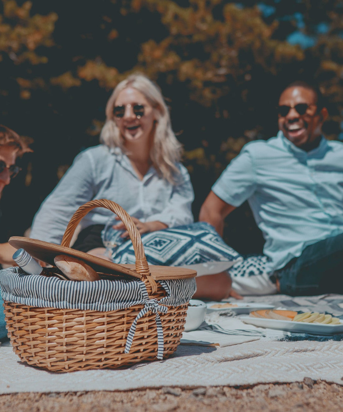 Country Picnic Basket