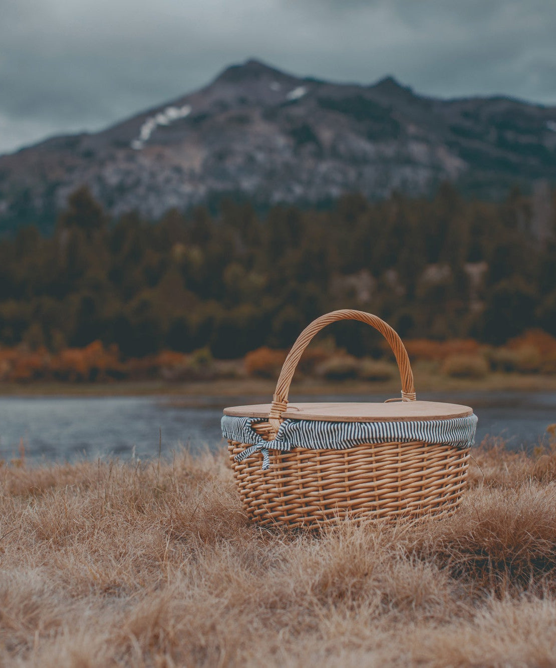 Country Picnic Basket