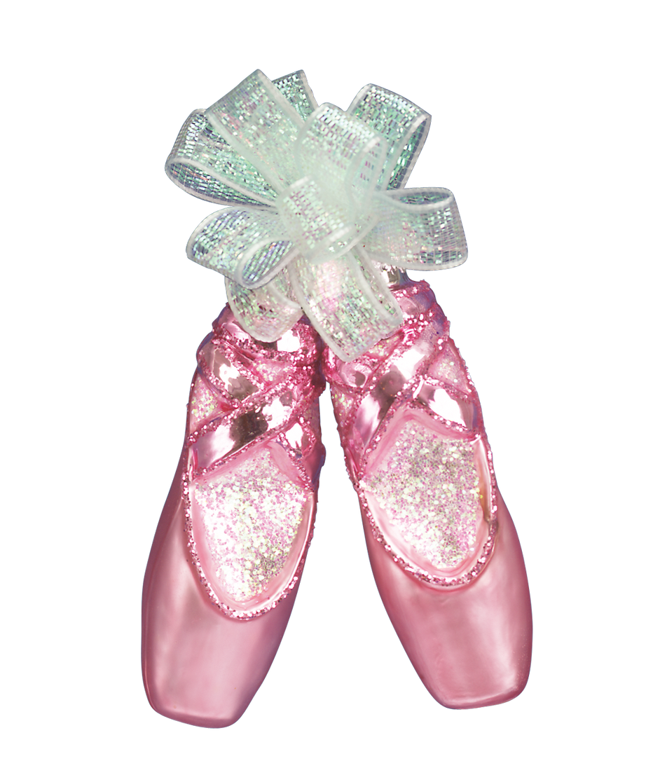 Pair Of Ballet Slippers