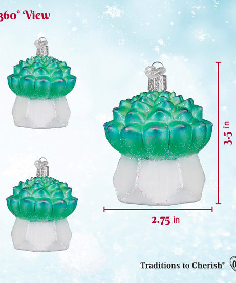 Echeveria Succulent Ornament