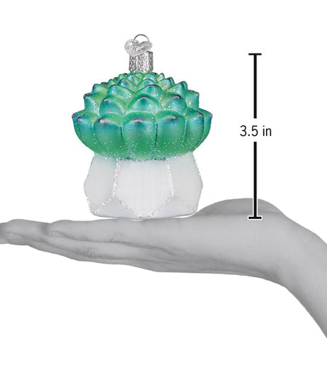 Echeveria Succulent Ornament