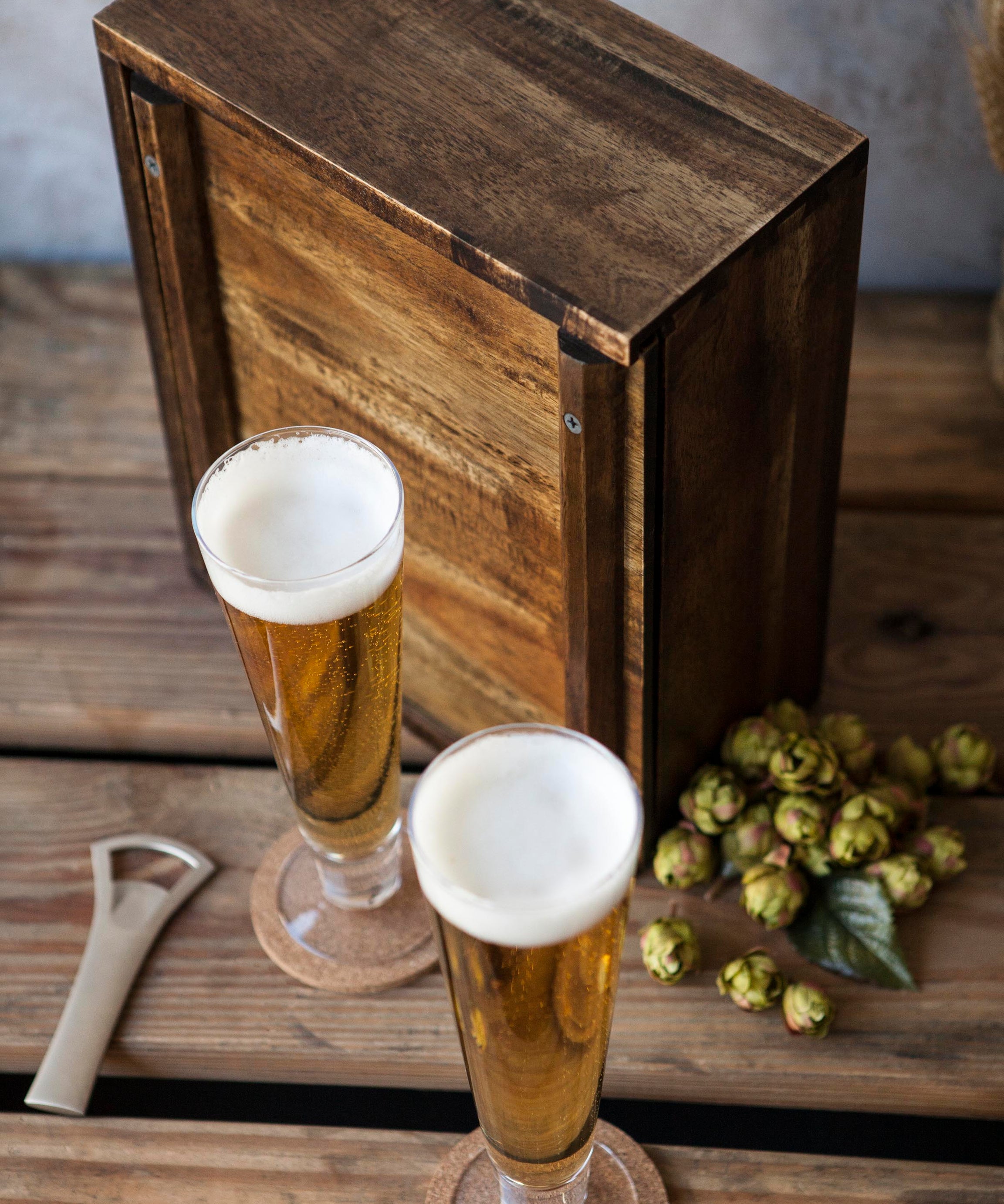 Pilsner Beer Glass Gift Set