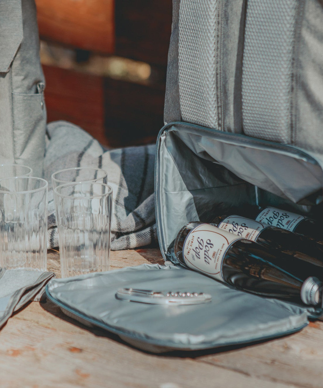 PT-Frontier Picnic Backpack