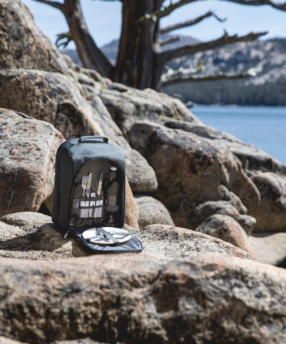 PT-Colorado Picnic Cooler Backpack