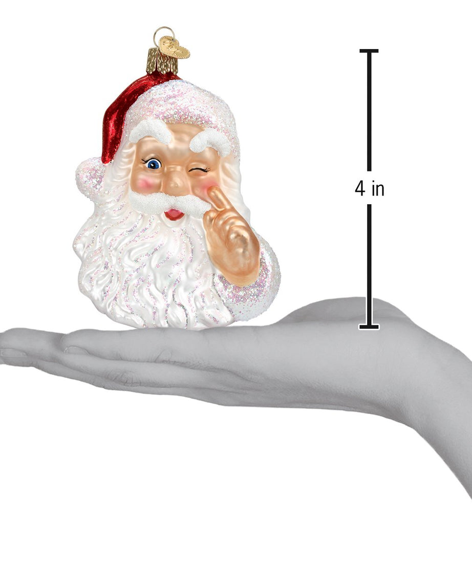 Night Before Christmas Santa