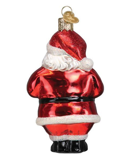 Santa Revealed Ornament