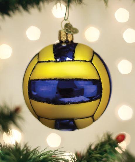 Water Polo Ball Ornament