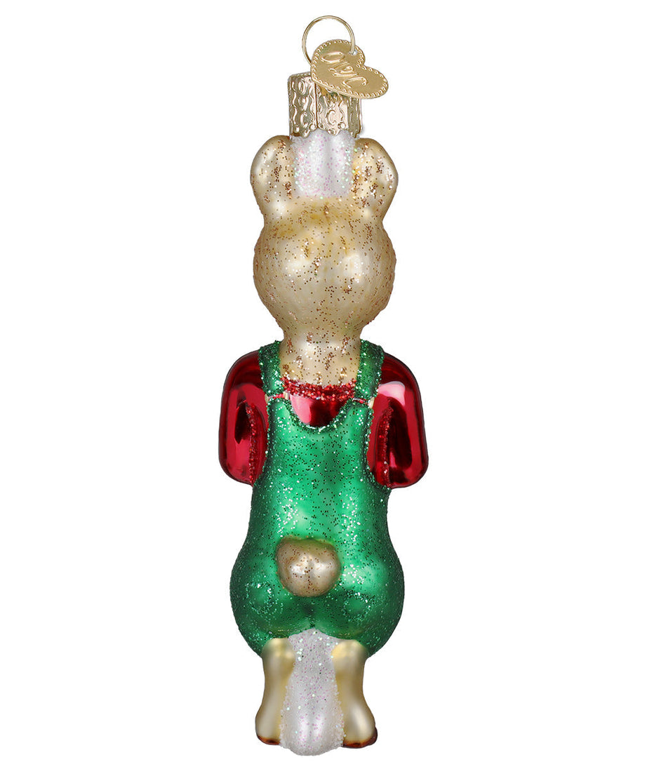 Llama Llama Holding Books Ornament