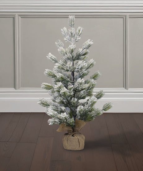 23" Frosted Balsam Tree with Burlap Base