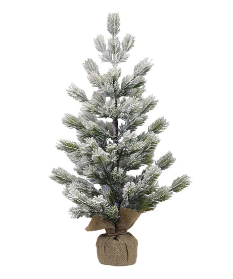 23" Frosted Balsam Tree with Burlap Base