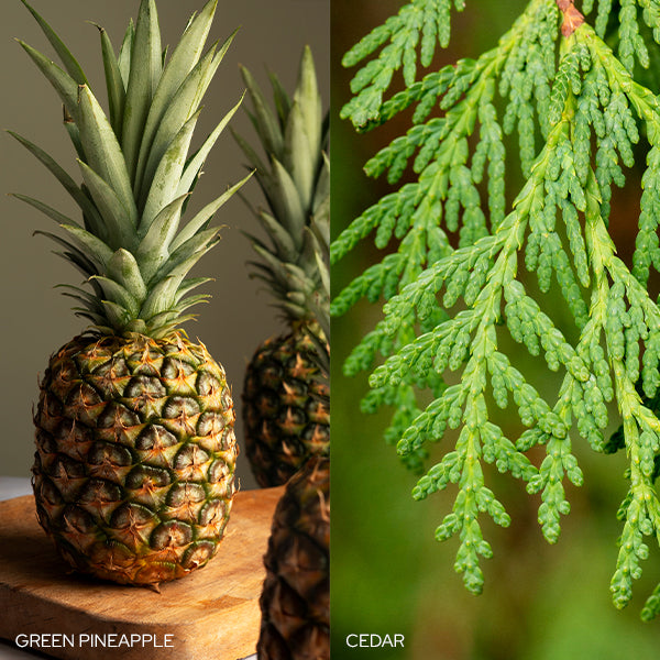 Fresh Balsam Fir Candle - Grazingbelles