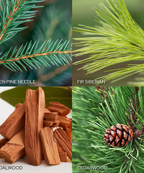 Country Pinecone Scented Ornament