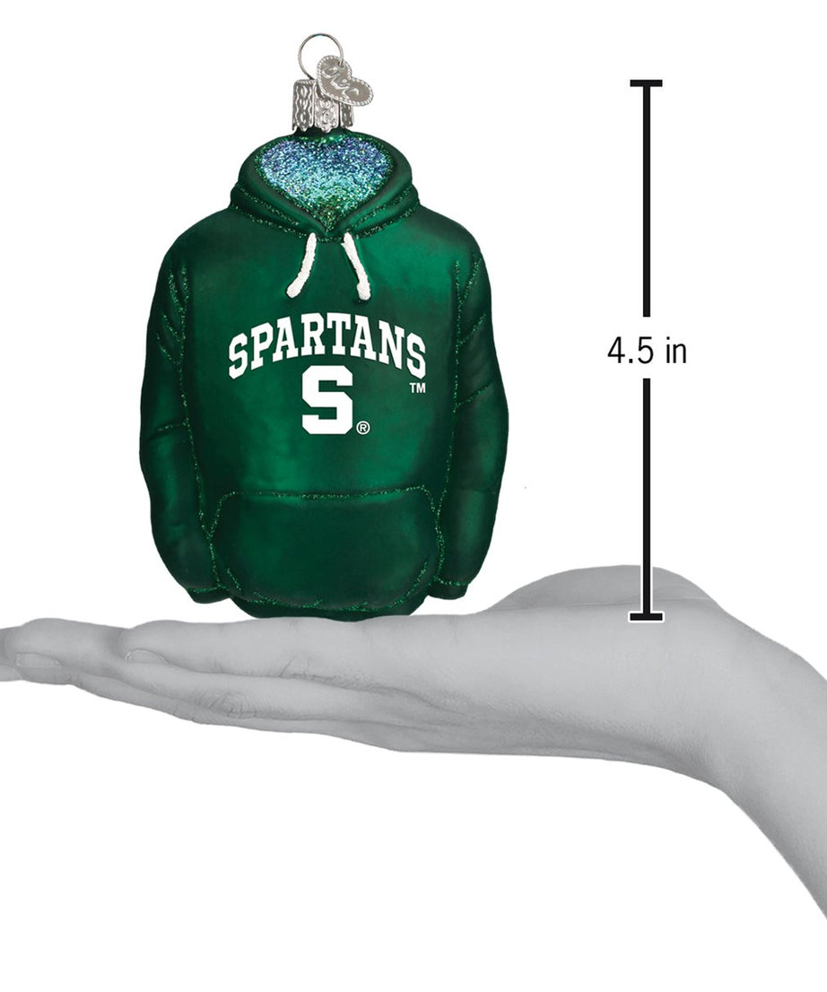 Michigan State Hoodie