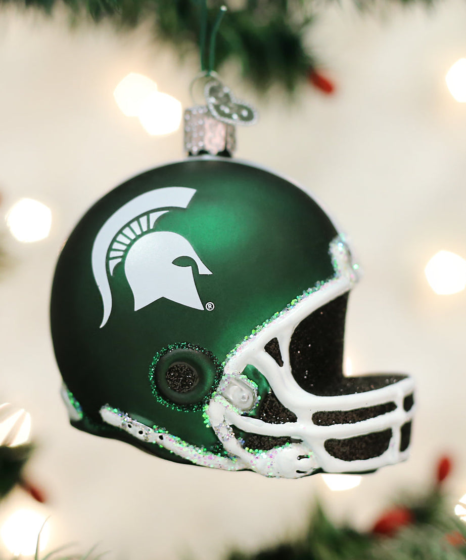 Michigan State Helmet