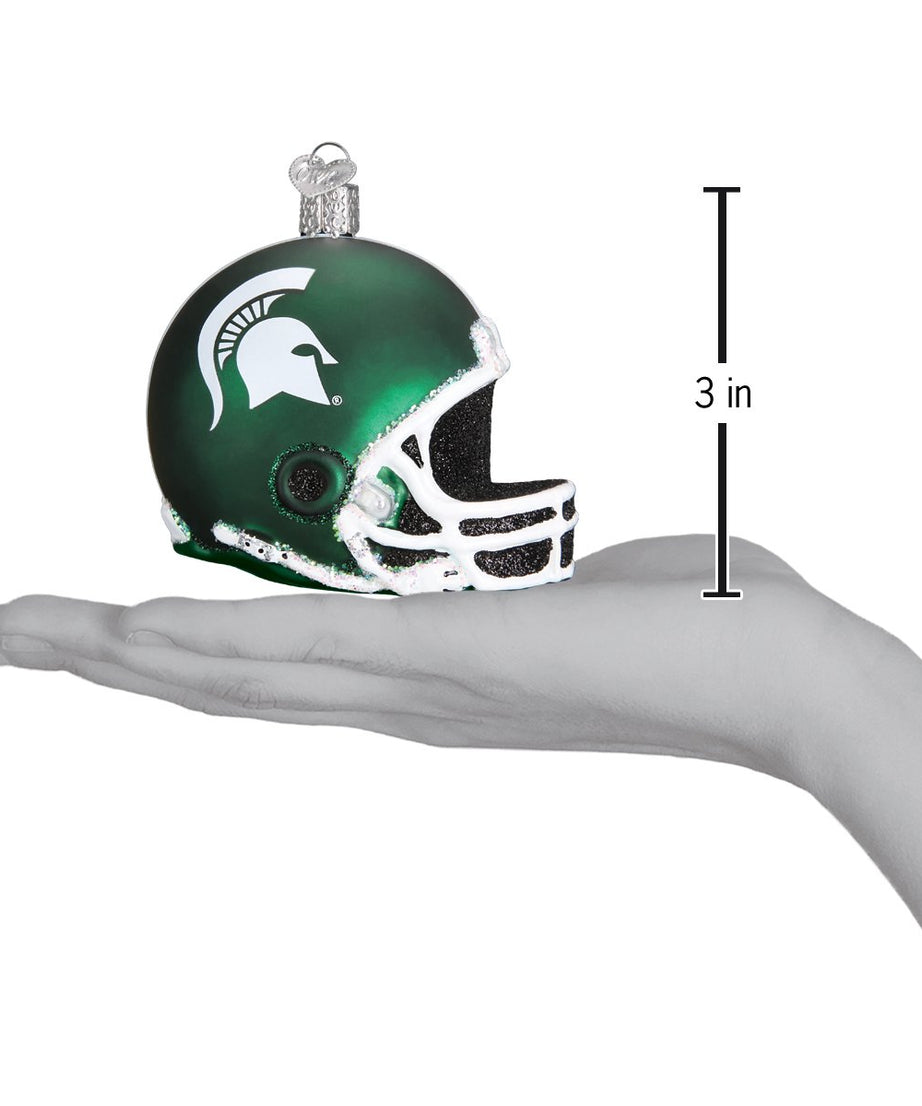 Michigan State Helmet