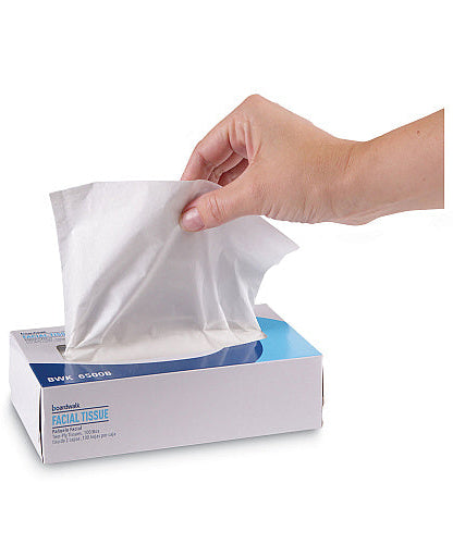 Boardwalk® Facial Tissues, 2-Ply, 100 Tissue Box, 30 Boxes (BWK6500B)