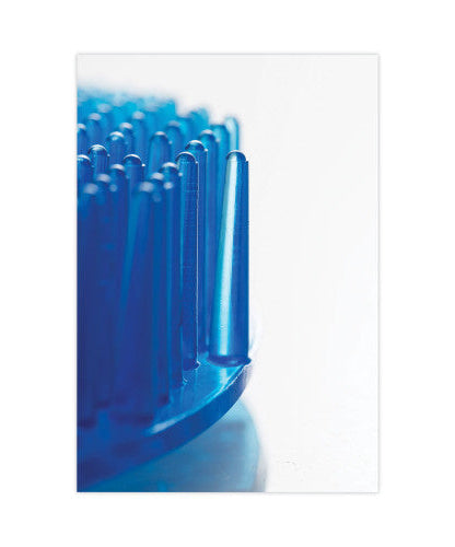 Diversey ekcoscreen Urinal Screens, Fresh Scent, Blue, 12/Carton (EKS3B12) - Grazingbelles