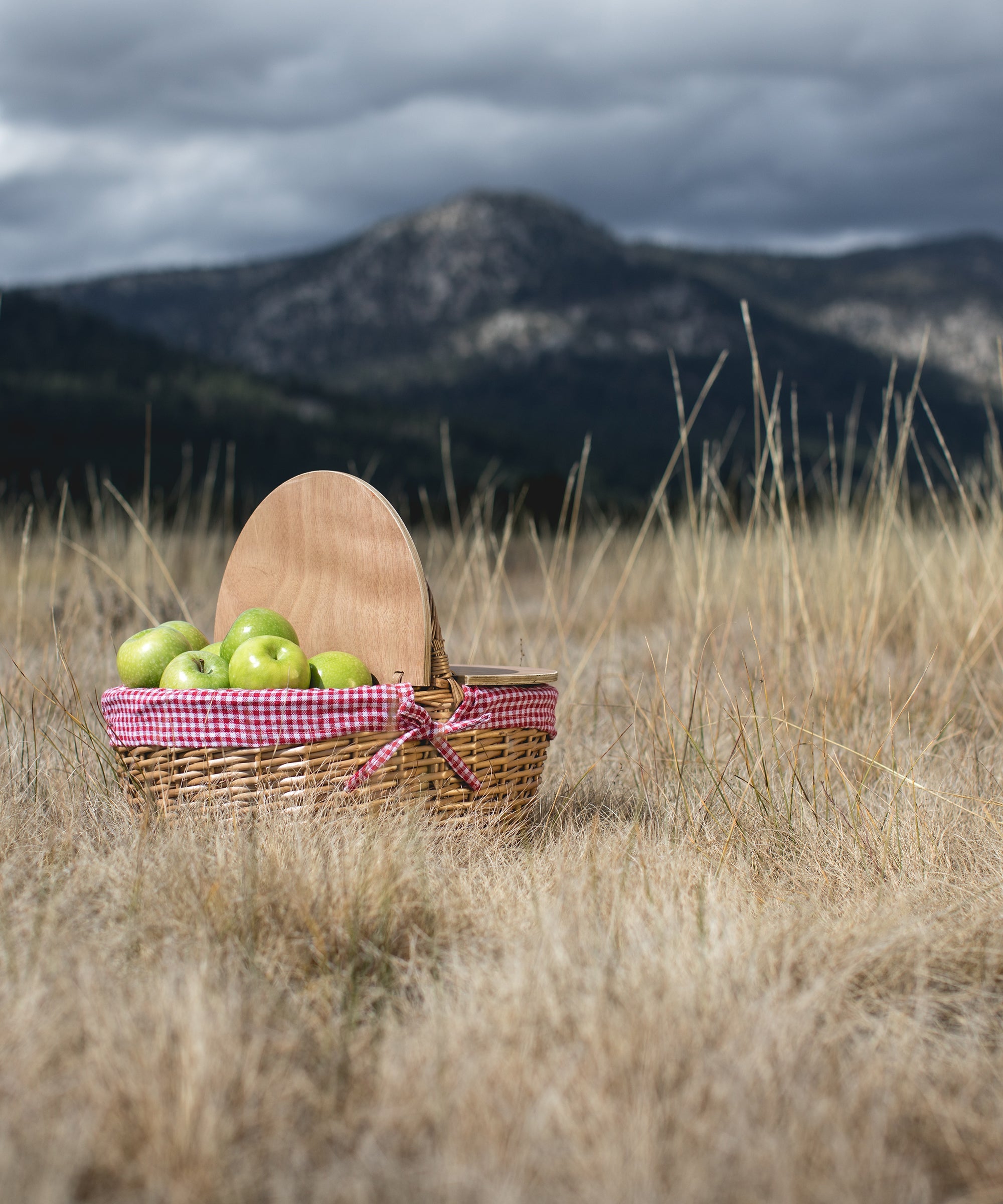 Country Picnic Basket