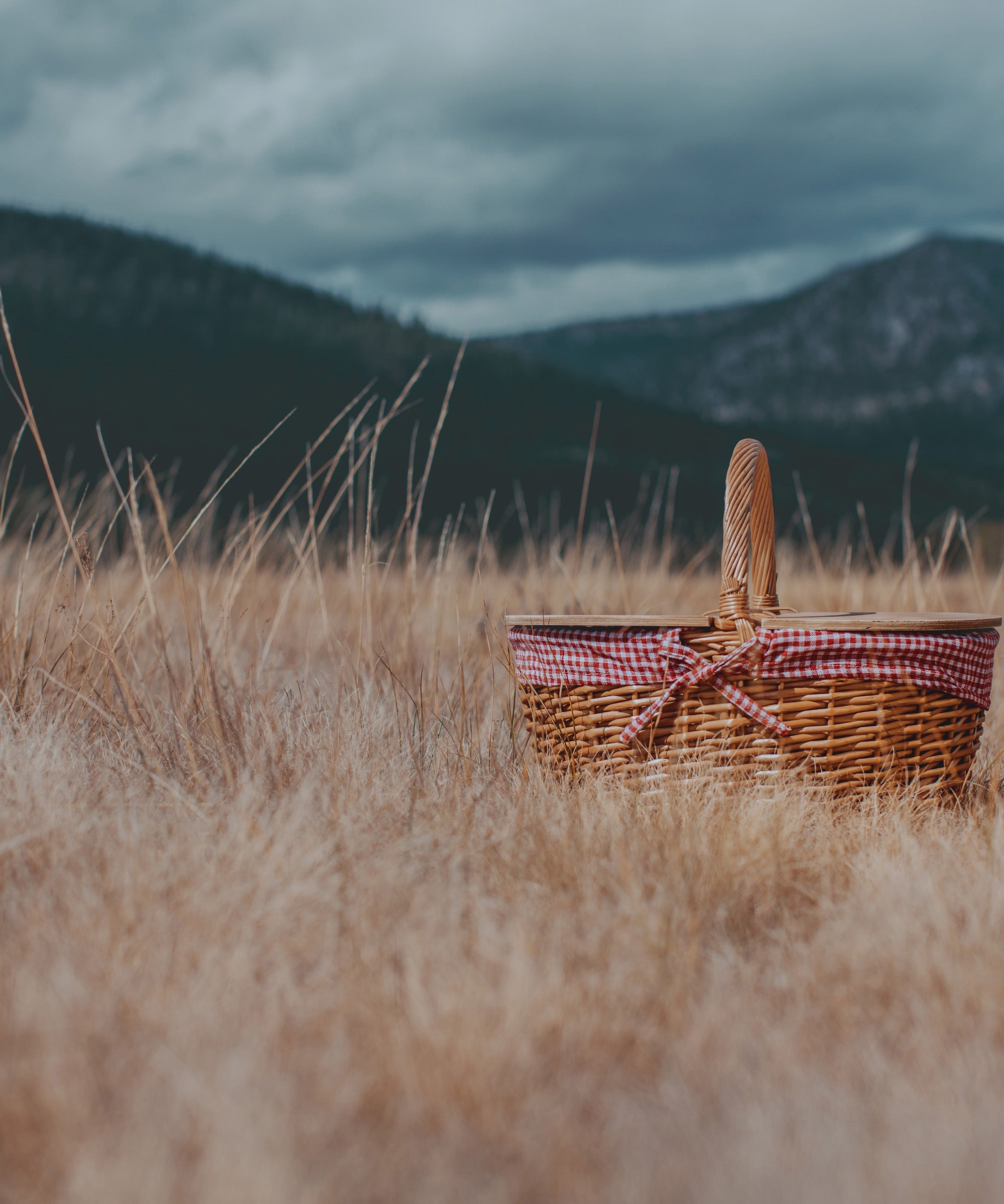 Country Picnic Basket