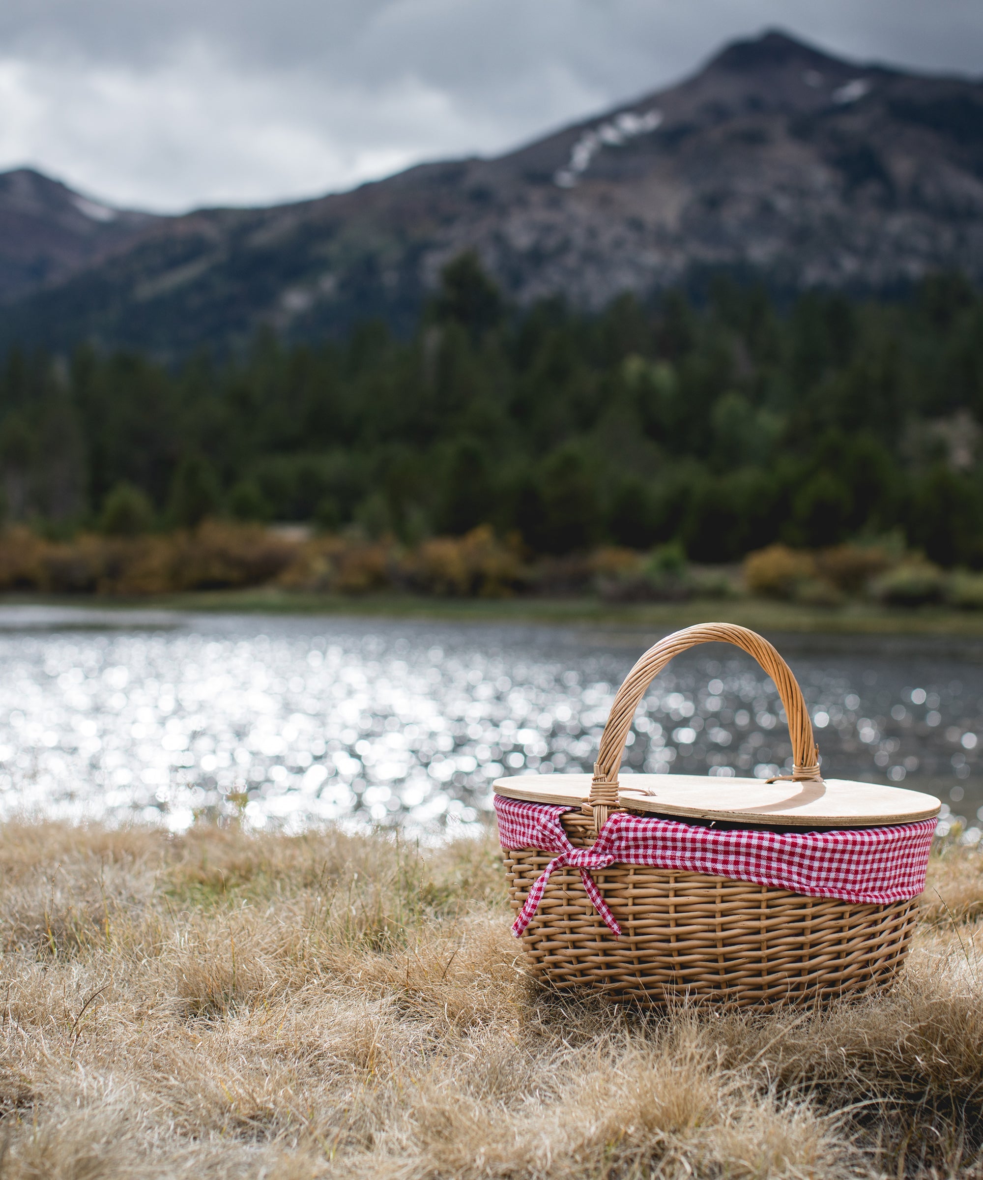 Country Picnic Basket