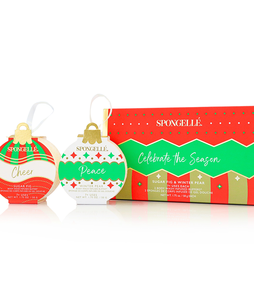 Celebrate the Season | Holiday Ornament Gift Set - Grazingbelles