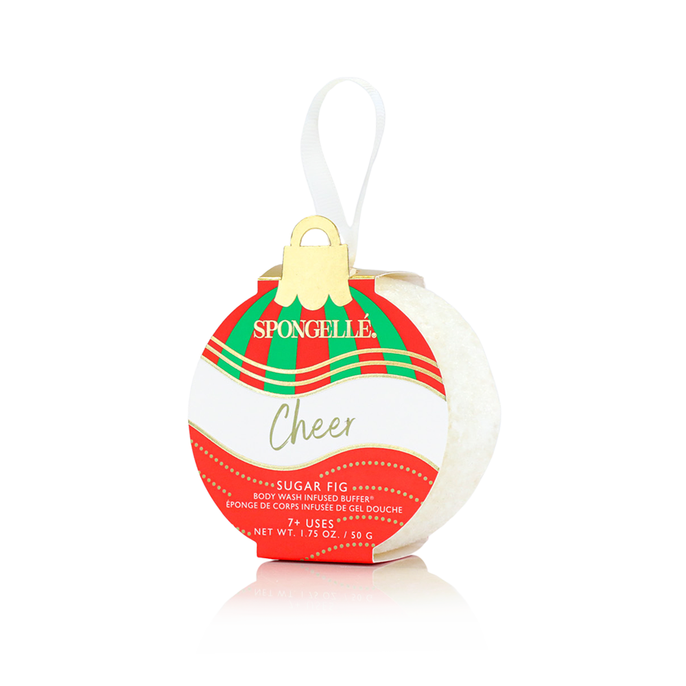 Celebrate the Season | Holiday Ornament Gift Set - Grazingbelles