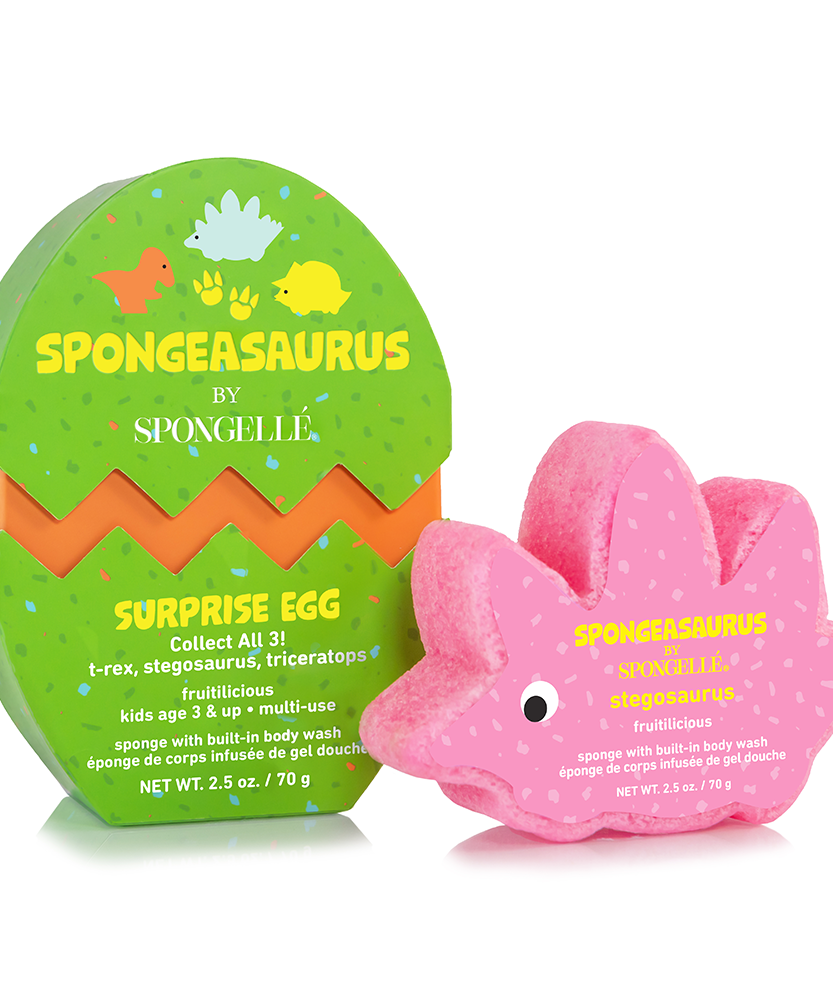 Stegosaurus Dinosaur Buffer